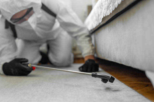 Professional Bed Bug Control technician working in Lionville, PA