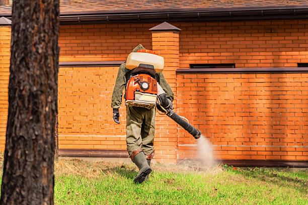 Trusted Termite Control service in Lionville, PA - Nex Pest Control